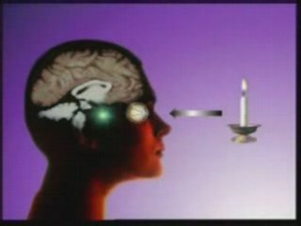 Video Physique Quantique Ce Que L'on Percoit_PART1 - physiqu