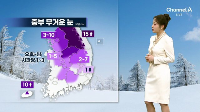 [날씨]수도권 최대 10cm 눈…서울 체감 -1/0도