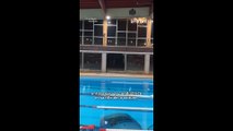 Une Jaguar au fond de la piscine municipale de La Ciotat