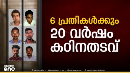 പൾസർ സുനി ഉൾപ്പെടെ ആറ് പ്രതികൾക്ക് 20 വർഷം കഠിനതടവ്