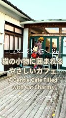 Promenade en kimono dans un café aux motifs de chats | Kimono & Cat Café Walk | 着物でめぐる猫モチーフのカフェ