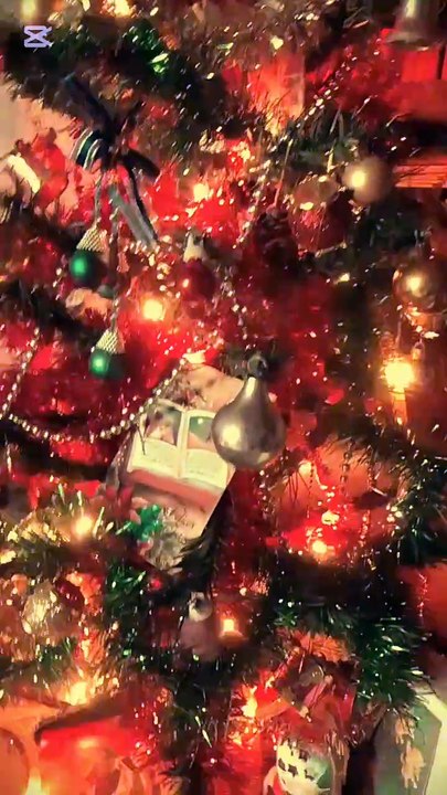 8 de diciembre, se arma el arbolito de Navidad