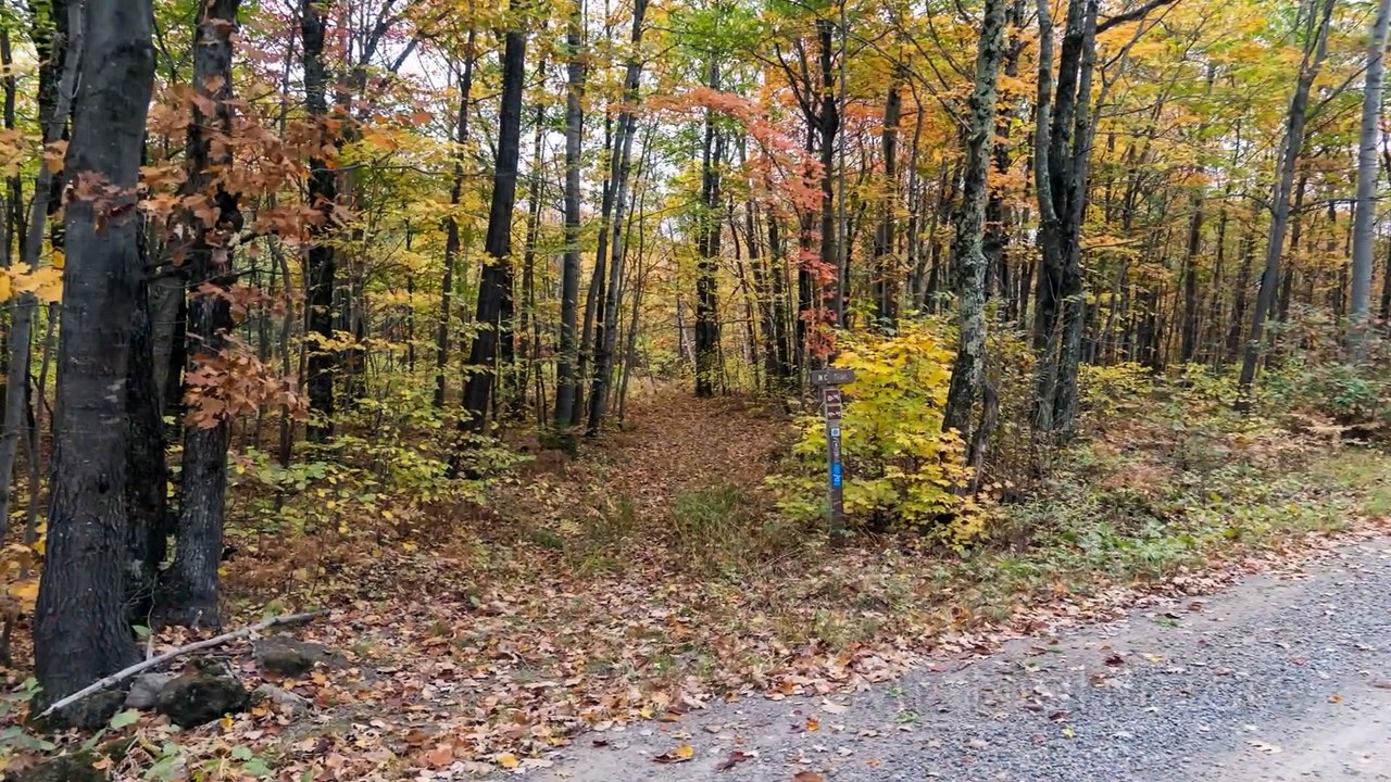3 Terrifying TRUE Cornfield Horror Stories
