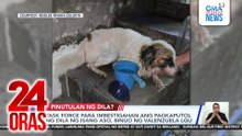 Task force para imbestigahan ang pagkaputol ng dila ng isang aso, binuo ng Valenzuela LGU | 24 Oras