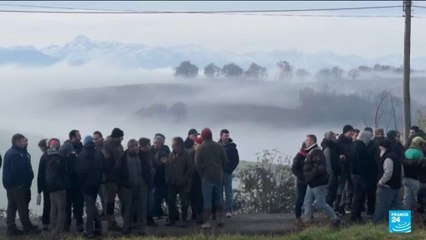 France : la colère agricole face au traitement des cas de dermatose