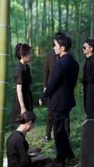 Pawn in the Game Justice in Her Hands Chinese Drama English Sub
