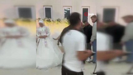 Damadın Arkadaşı Düğün Hediyesi Olarak 100 Bin Liralık Köpek Hediye Etti