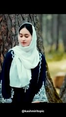Kashmiri new Song,Trending Now #kashmirisongs