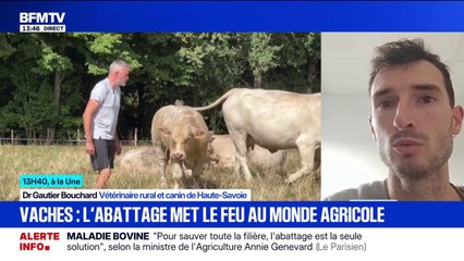 Dermatose nodulaire: "Il n'y a pas de contamination à l'homme, cela ne concerne que les bovins", rassure Gautier Bouchard, vétérinaire rural et canin de Haute-Savoie