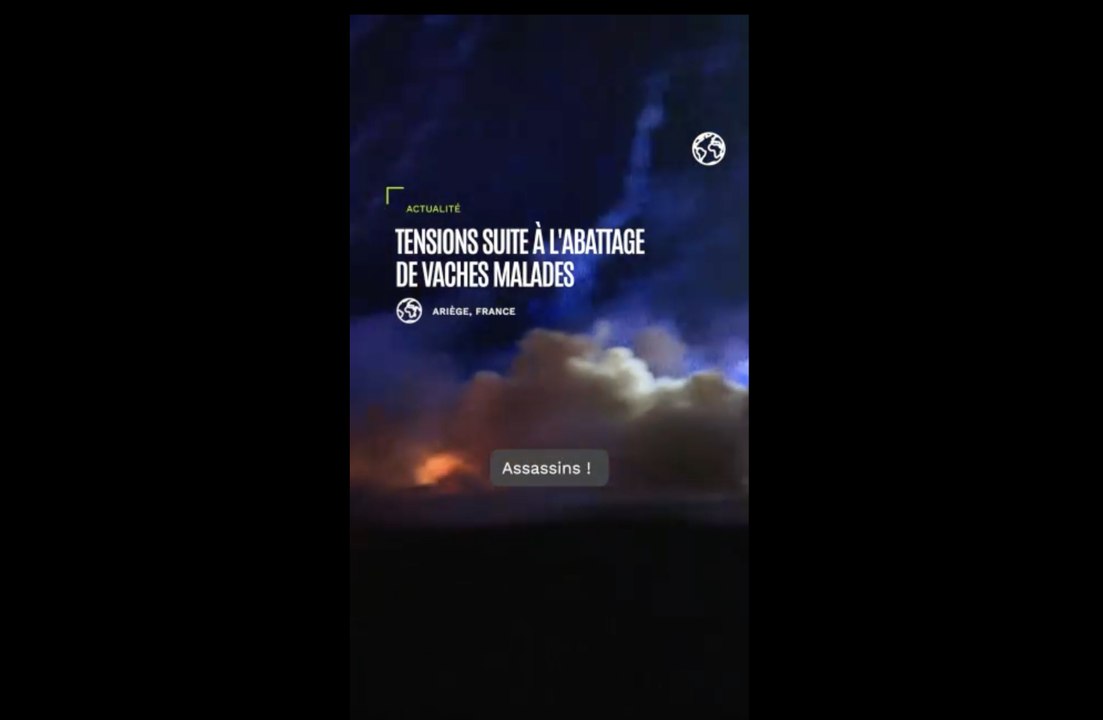 Opposition à un abattage de vaches malades en A...