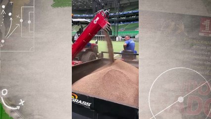 Gramado do Allianz Parque inicia reformas; clube utilizará a Arena Barueri no período