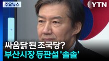 싸움닭 된 조국당?...부산시장 등판론까지 존재감 / YTN