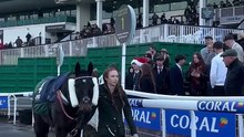 Jubilee Express showed off his Coral Welsh Grand National credentials by winning the National trial race at Chepstow. Video: Chepstow Racecourse