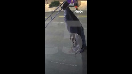 Un parachutiste finit suspendu à un feu de circulation