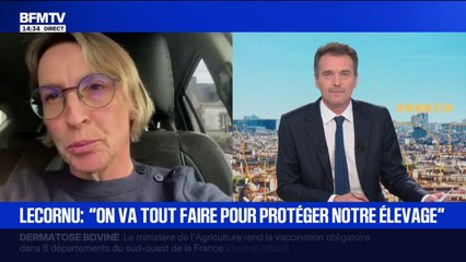 Dermatose bovine: "C'est 10 millions de steaks hachés qui viennent d'être jetés à la poubelle", déclare Véronique Le Floc'h, ancienne présidente de la Coordination Rurale