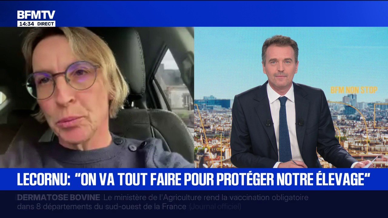 Dermatose bovine: "C'est 10 millions de steaks hachés qui viennent d'être jetés à la poubelle", déclare Véronique Le Floc'h, ancienne présidente de la Coordination Rurale