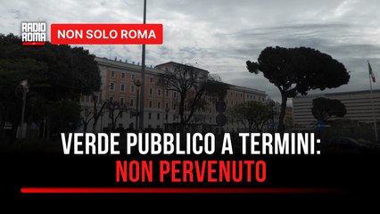 Le immagini del verde alla Stazione Termini: poca cura e molto abbandono