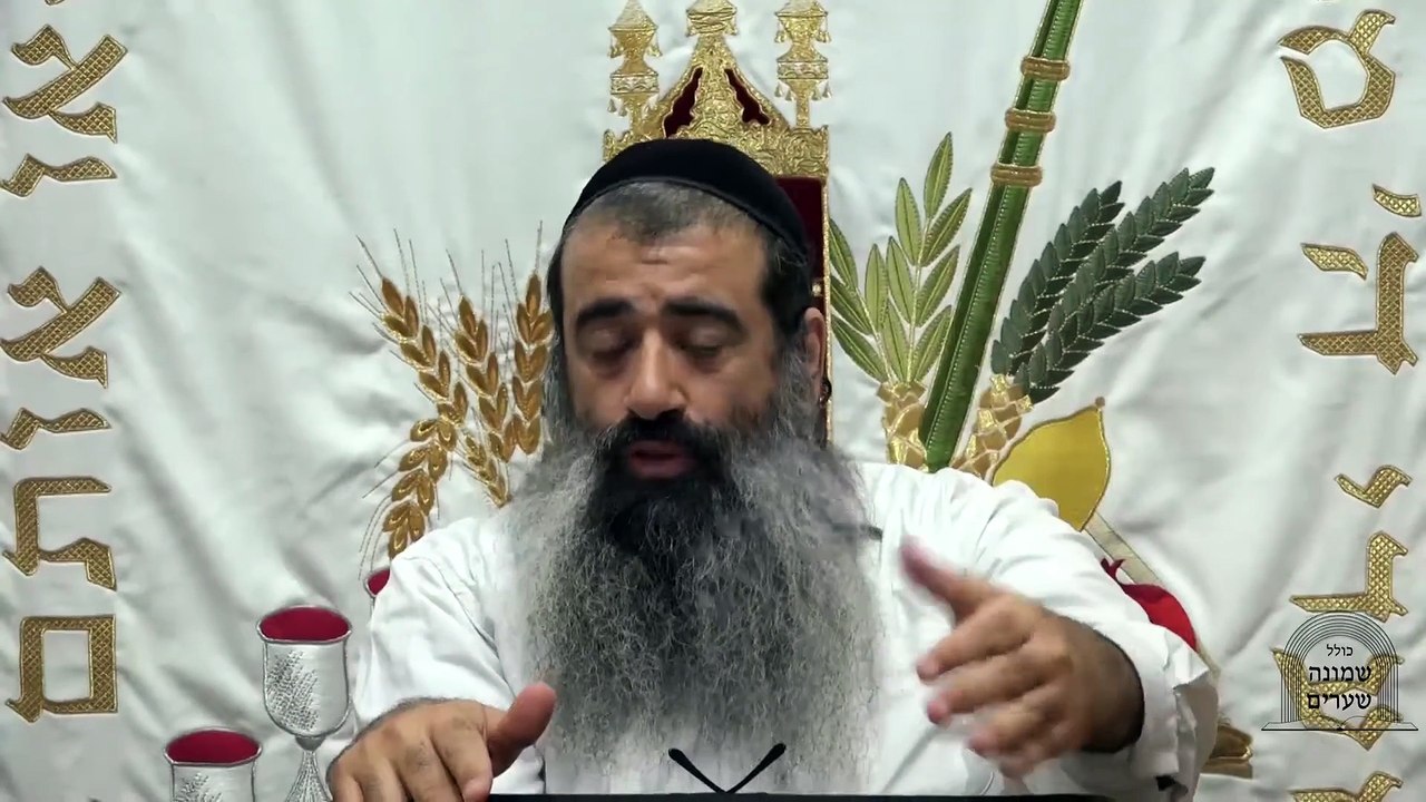 תומר דבורה שיעור 8