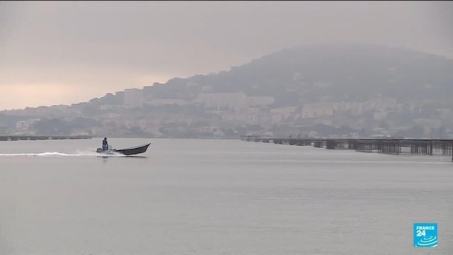 France : les huîtres victimes du réchauffement climatique