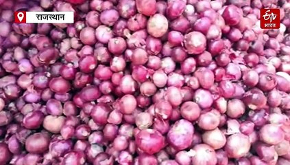 अलवर का लाल प्याज बांग्लादेश भेजने की राह खुली, भाव में तेजी से किसानों के चेहरों पर लौटी मुस्कान