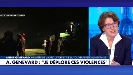 Annie Genevard : «Ça me fait mal, je déplore ces violences»