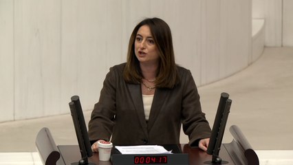 CHP’li Aysu Bankoğlu: Çocuğa yönelik ihmal, istismar ve cinsel şiddet suçunu hasır altı ettiğiniz için bugün bu iş bu Meclis’e kadar uzanmıştır