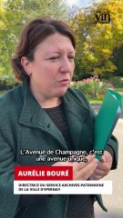 Épernay : l’Avenue de Champagne, symbole d’un patrimoine mondialement reconnu
