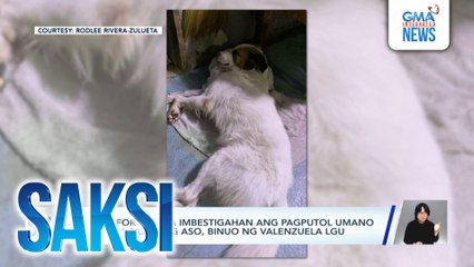 Valenzuela LGU, bumuo ng task force para tutukan ang imbestigasyon kaugnay sa asong pinutulan umano ng dila | Saksi