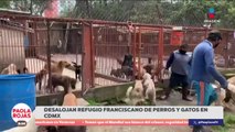 Más de 1,100 animales en riesgo tras orden de desalojo | DPC con Paola Rojas