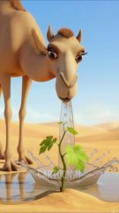 A Camel Saved the Grapes 🍇 tree from Drying Out by Water it 😭#ai #save #water #viral video