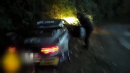 Rallye du Var 2025 Loeb Crashes