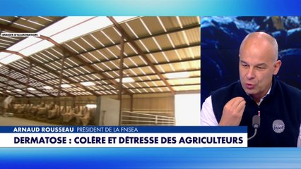 Arnaud Rousseau : «Les épidémiologistes disent que l'abattage partiel ne tient pas la route»