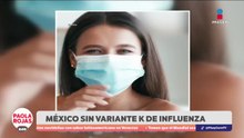 Variante K de influenza H3N2  no ha sido detectada en México | DPC con Paola Rojas