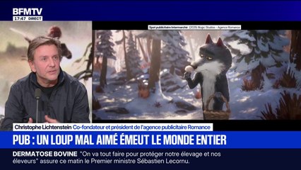Pub Intermarché: "Il y a plus d'une centaine de personnes qui ont travaillé sur le projet pendant plus d'un an", explique Christophe Lichtenstein, co-fondateur et président de l'agence publicitaire Romance