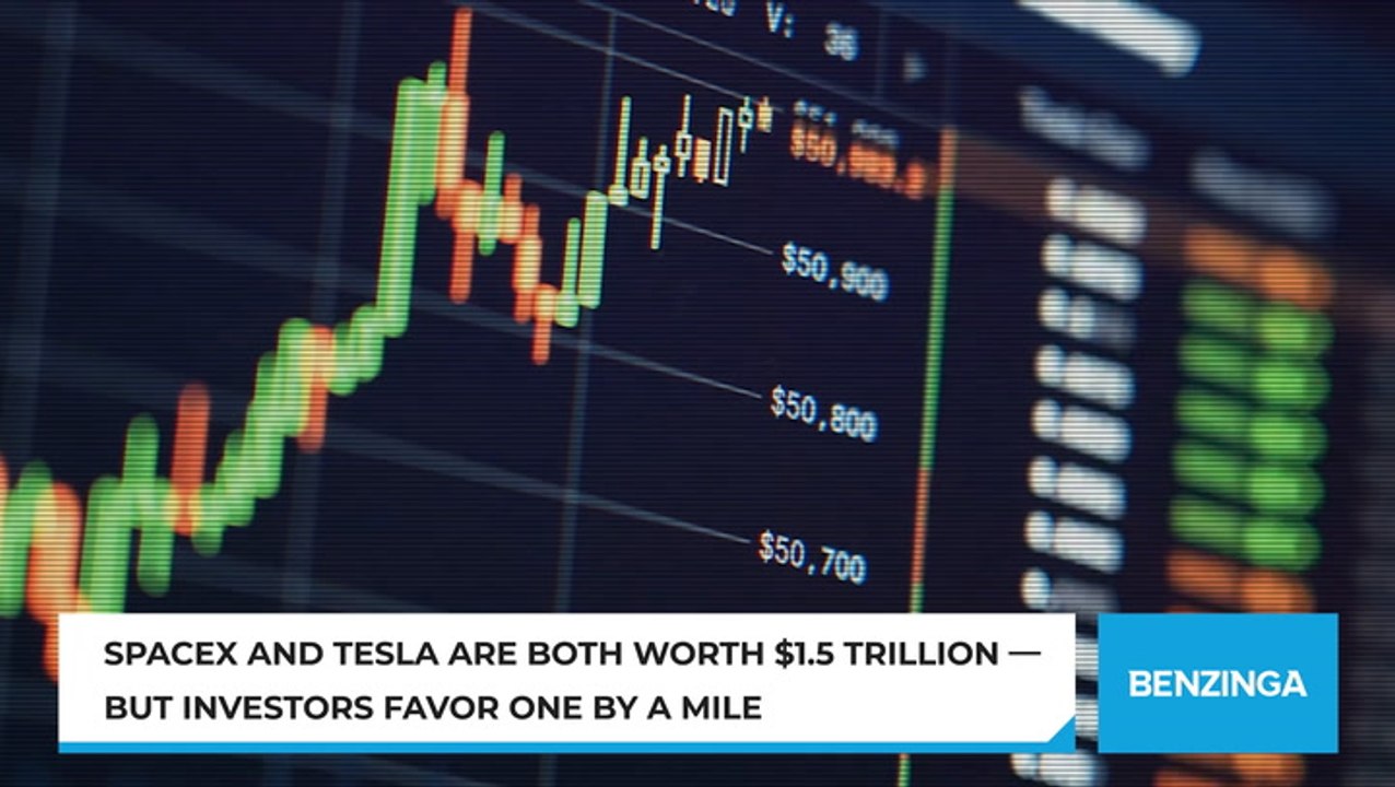 SpaceX IPO Investor Interest