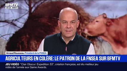 Colère agricole: "Ce qui déclenche la crise est le propos sanitaire, et plus largement l'absence de vision politique", déclare Arnaud Rousseau (FNSEA)