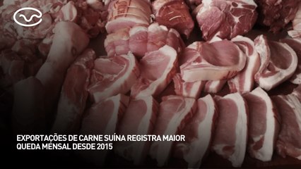 Exportações de carne suína registram maior queda mensal desde 2015