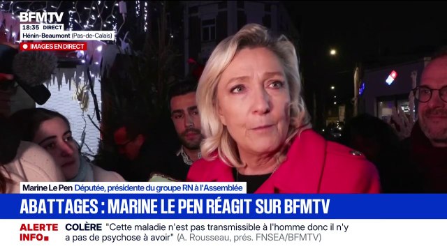 Dermatose bovine: C'est la goutte d'eau qui fait déborder le vase. Ils n'en peuvent plus nos agriculteurs , affirme Marine Le Pen (RN), à propos des abattages