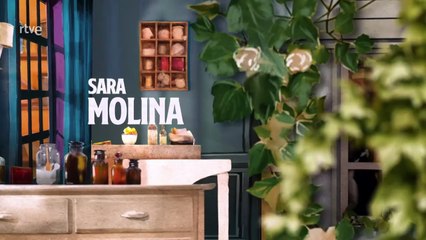 La Promesa - Capitulo 733