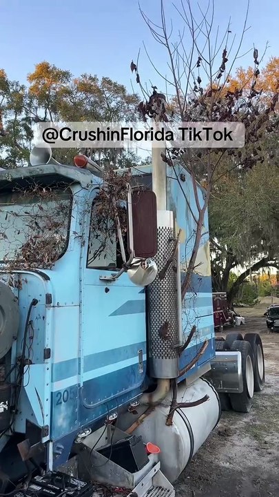 Here’s a nice Eagle 🦅 update for everybody! Who wants to see this thing cleaned up?#f#fypc#crushinfloridaj#ju (1)