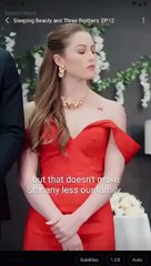 Sleeping Beauty And Three Brothers