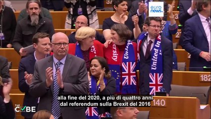 Fact-checking: quanto è realistica un'unione doganale Ue-Regno Unito su misura?