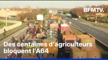 Dermatose nodulaire: des centaines d'agriculteurs bloquent l'A64 pour protester contre l'abattage des troupeaux