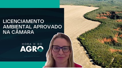 Agro avalia impactos e questionamentos legais da licença ambiental especial | HORA H DO AGRO