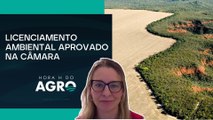 Agro avalia impactos e questionamentos legais da licença ambiental especial | HORA H DO AGRO