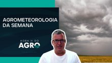 Por dentro do clima: como fica o ritmo de chuvas para a próxima semana