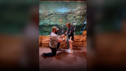 Man Recreates Sweet Childhood Memory for His 'Outdoorsy' Girlfriend by Proposing in Front of Fish Tank at Bass Pro Shops
