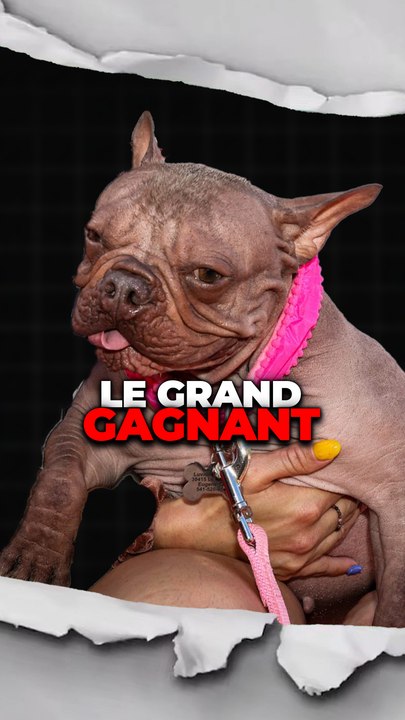 Pauvre Gizmo