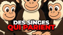 Des singes qui parient