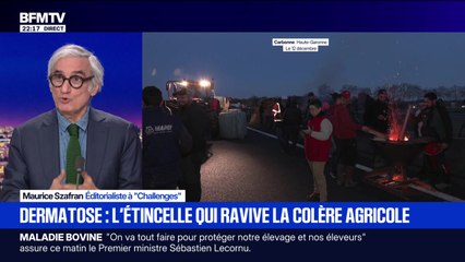 Abattages : la colère et l'incompréhension des éleveurs - 12/12